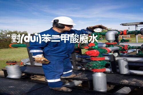 “對(duì)苯二甲酸廢水處理，綠色創(chuàng)新引領(lǐng)環(huán)保新篇章”